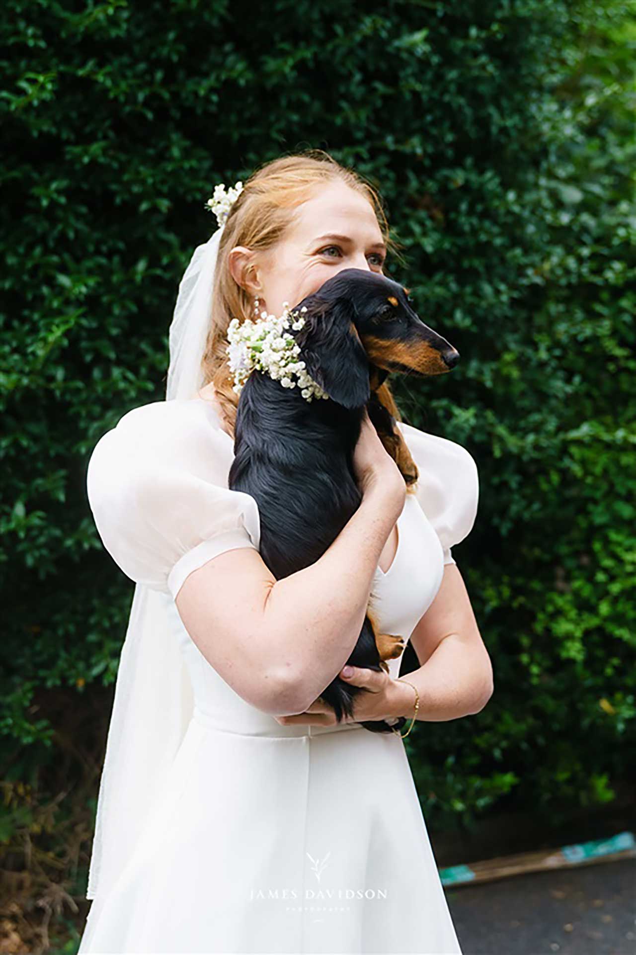 Scarlie and Louis wedding - pup in ceremony