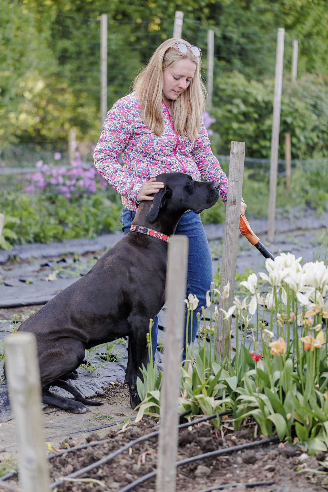 Florist and dog picking flowers